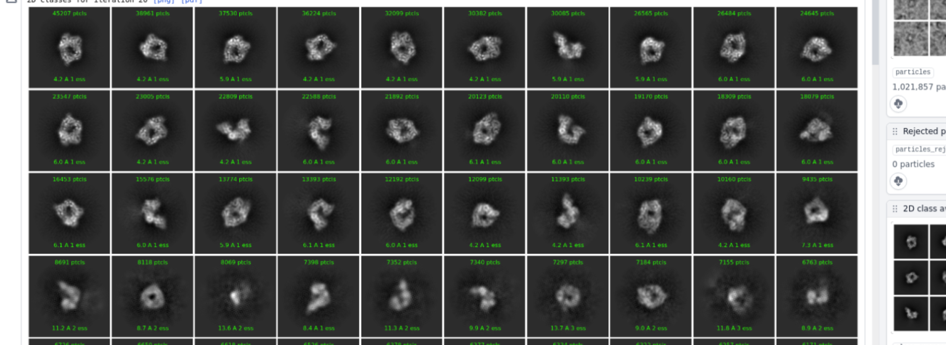 Kozo Tomita Laboratory: RNA Biology