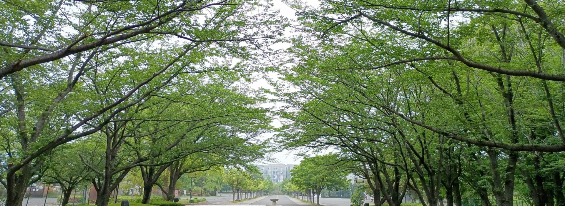 Kozo Tomita Laboratory: RNA Biology