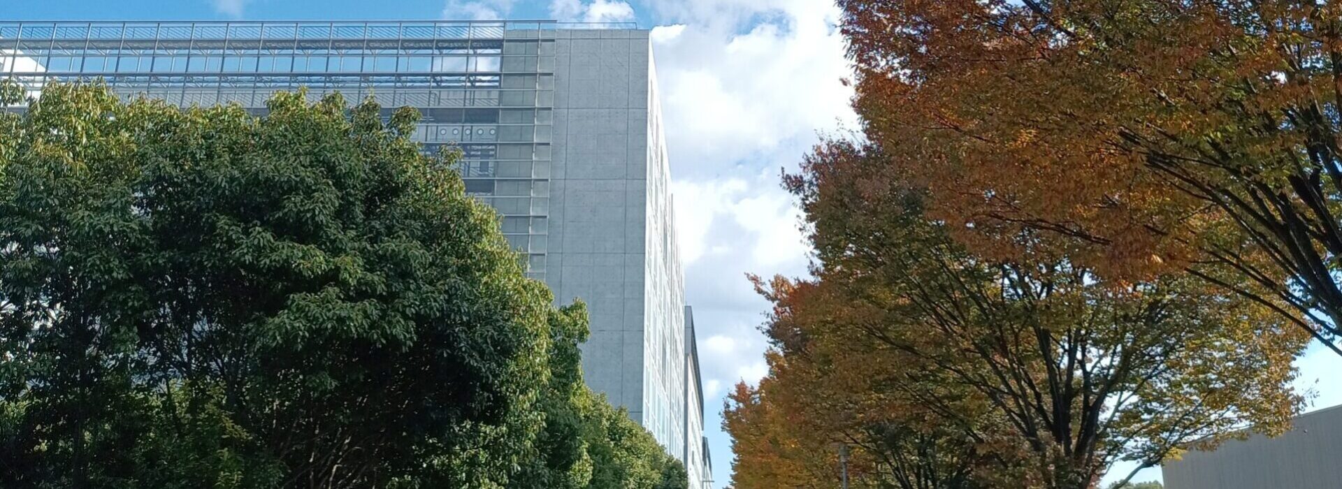 Kozo Tomita Laboratory: RNA Biology